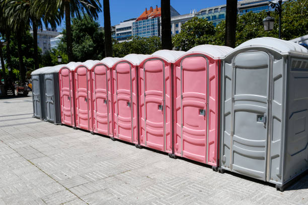 Types of Portable Toilets We Offer in Stoneville, NC